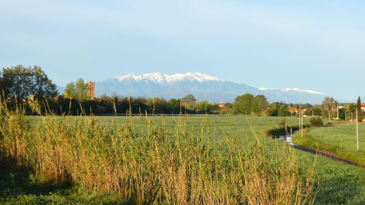 Ma Chambre D'Hotes A Rivesaltes Buitenkant foto